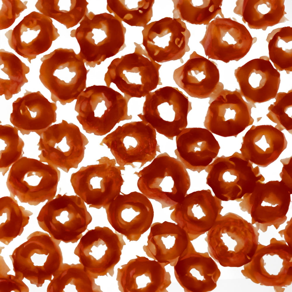 ring kaczka.jpg